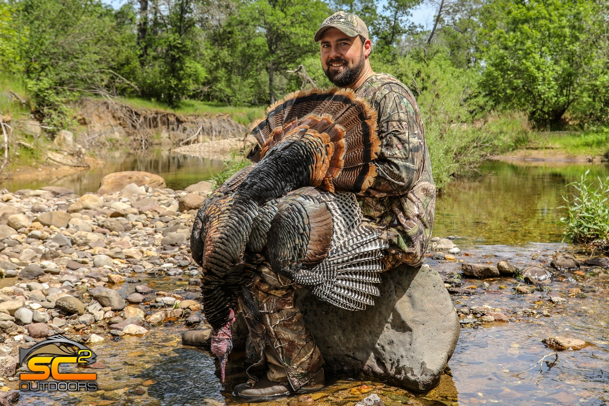 SC2 Outdoors Wild Turkey Rickert Ranch